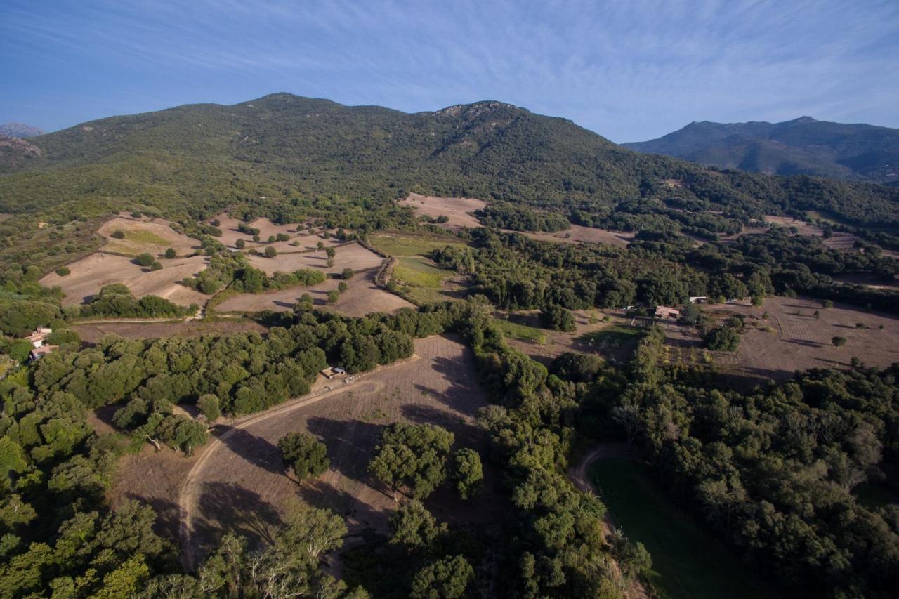 Domaine Finili Villa Cauro Eksteriør bilde