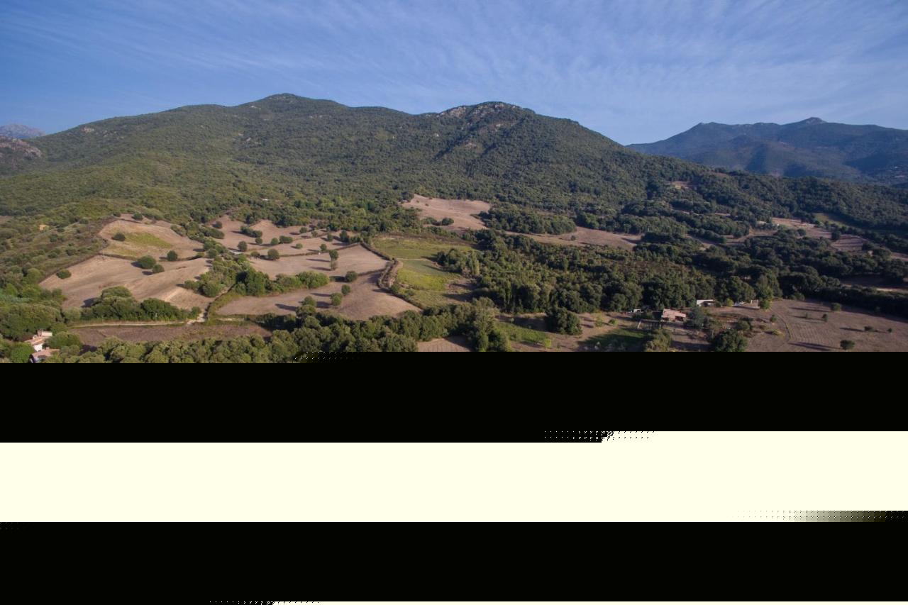 Domaine Finili Villa Cauro Eksteriør bilde
